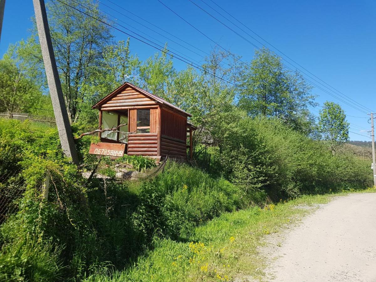 Карпатський Будинок Lägenhet Izki Exteriör bild