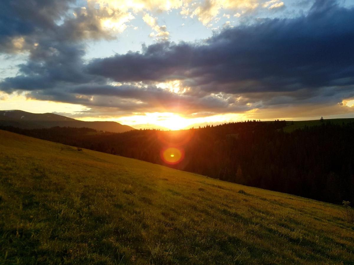 Карпатський Будинок Lägenhet Izki Exteriör bild