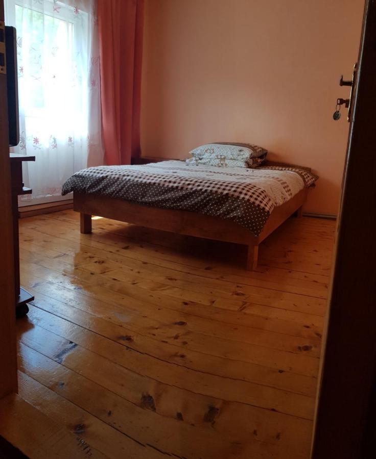 Карпатський Будинок Lägenhet Izki Exteriör bild
